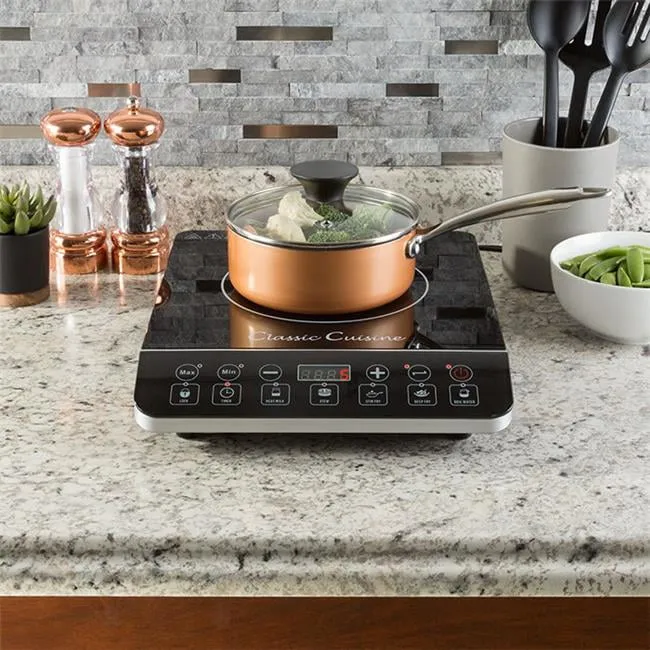 1800W Multi-Function Portable Induction Cooker